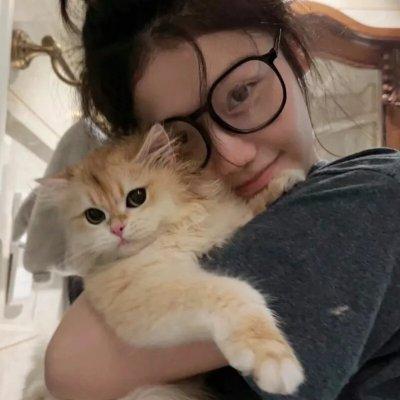 大侦探波洛第十三季