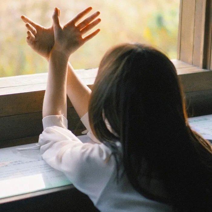 春光灿烂猪九妹